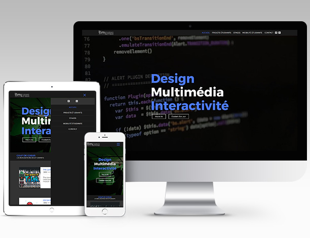 Site Web du département TIM du Cégep de Matane